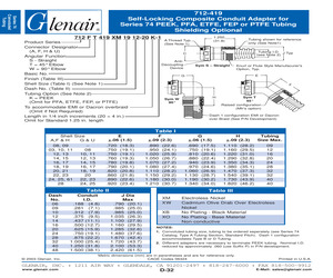 712AS419XM2206-20K-1.pdf