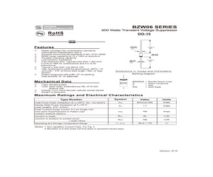 BZW06-13 R0.pdf