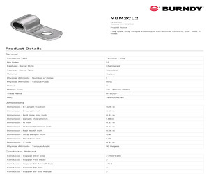 YBM2CL2.pdf