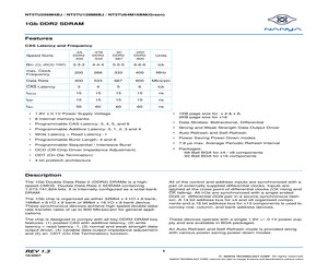 NT5TU128M8BJ-3C.pdf