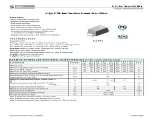 HS1JL R2G.pdf