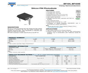 BP104S.pdf