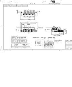 EV09615100J0G.pdf