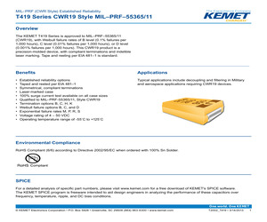 T419X157M010RC4250.pdf