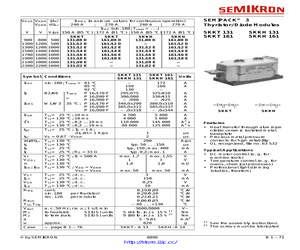 SKKH161/16E.pdf