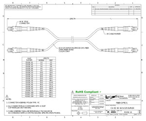 FODSC-10.pdf