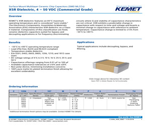 SR301A223JTA.pdf