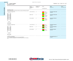 SL-100-L-RYG/24.pdf