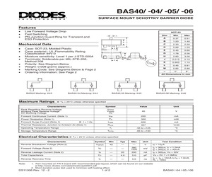 BAS40-06.pdf