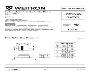 B5819WS.pdf