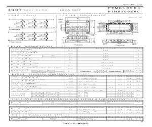 PTMB100E6.pdf