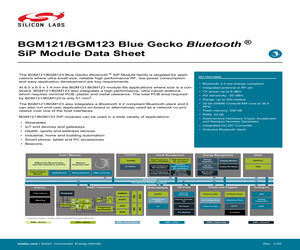 BGM123N256V1R.pdf