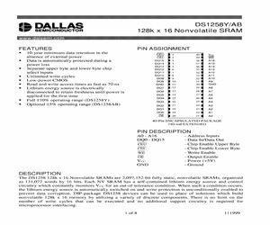 DS1250AB-100-IND.pdf
