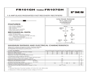 FR102GH.pdf