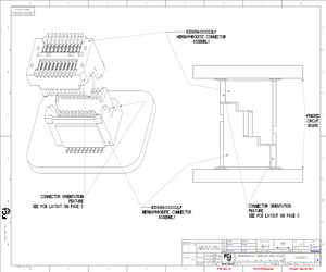 10106814-033002LF.pdf