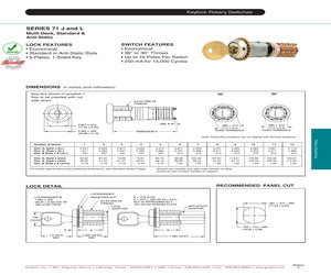 71J30-04-4-03N.pdf