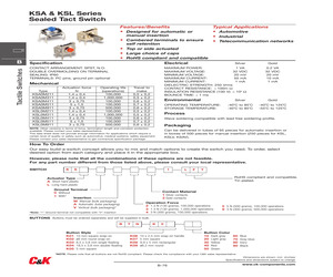 KSA0A211ACT2.9LFT.pdf