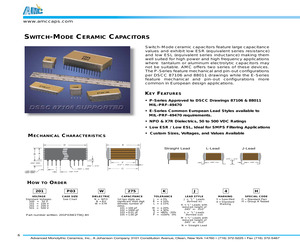 101E28W256JJ3C.pdf