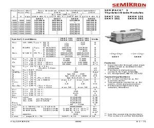 SKKH131/08D.pdf