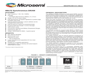 WEDPN4M72V-100B2I.pdf