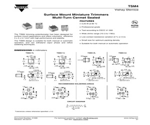 TSM4ZJ104KR10.pdf