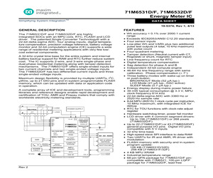 71M6532F-IGT/F.pdf