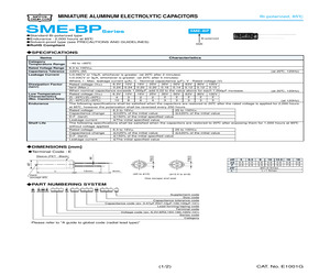 BSME101EFM330MK20S.pdf
