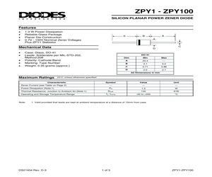 ZPY100.pdf