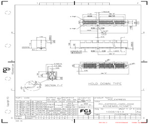 10061913-021PLF.pdf