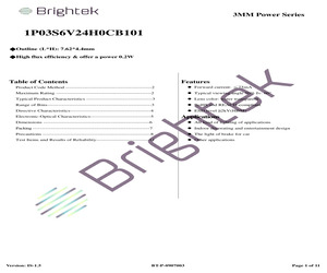 1P03S6V24H0CB101.pdf