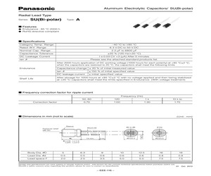 ECEA1VN100UB.pdf