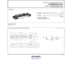 TM60SZ-M.pdf