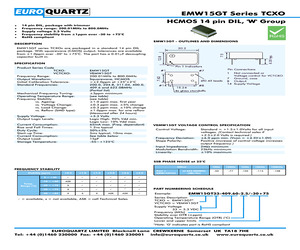 EMW15GT33-311.04-0.5/0+50.pdf