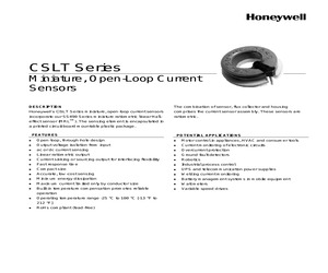 CSLT6B100.pdf