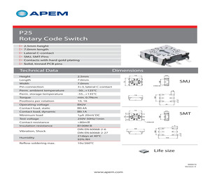 P25SMT101.pdf