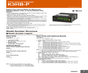 K3HB-PNB 24VAC/VDC.pdf