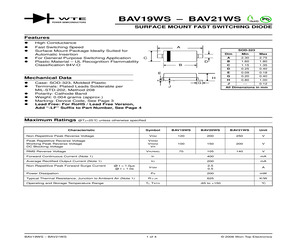 BAV21WS-T1.pdf