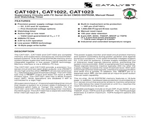 CAT1022RE-30TE13.pdf