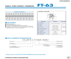 FT63EV201.pdf