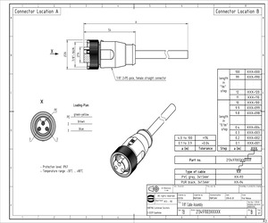 21349700394100.pdf