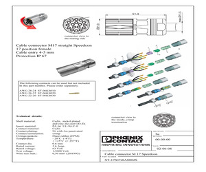 ST-17S1N8A8002S.pdf