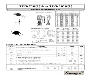 STYN210.pdf