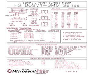 FST8040SM1A.pdf