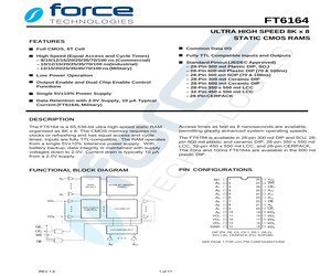 FT6164L-100L32MLF.pdf