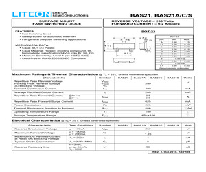 BAS21S.pdf