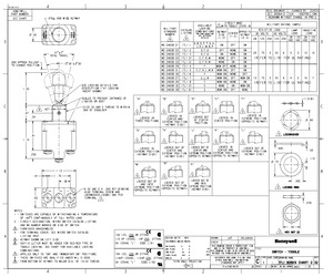 MS-24658-21A.pdf