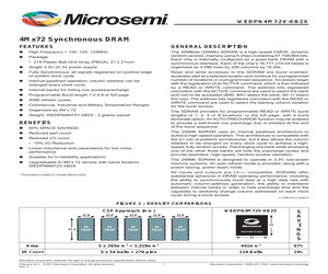 WEDPN4M72V-100B2I.pdf