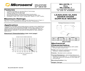 1N989BUR-1.pdf