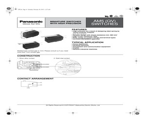 AM50010C33-A.pdf