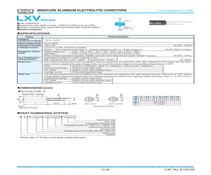 ELXV100ETC391MJC5S.pdf